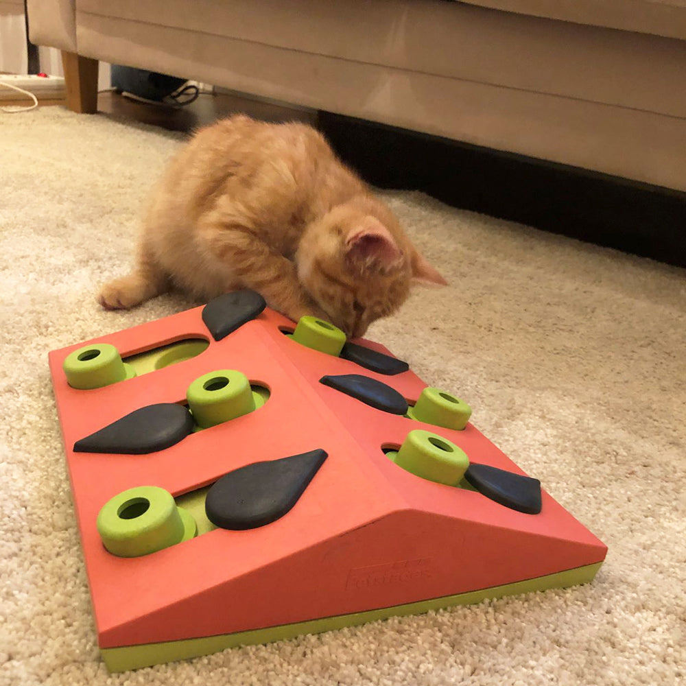 Nina Ottosson CATSTAGES MELON MADNESS PUZZLE & PLAY - CAT PUZZLE GAME LEVEL 2