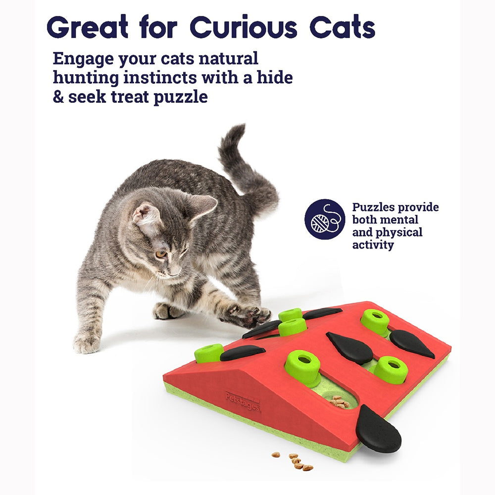 Nina Ottosson CATSTAGES MELON MADNESS PUZZLE & PLAY - CAT PUZZLE GAME LEVEL 2