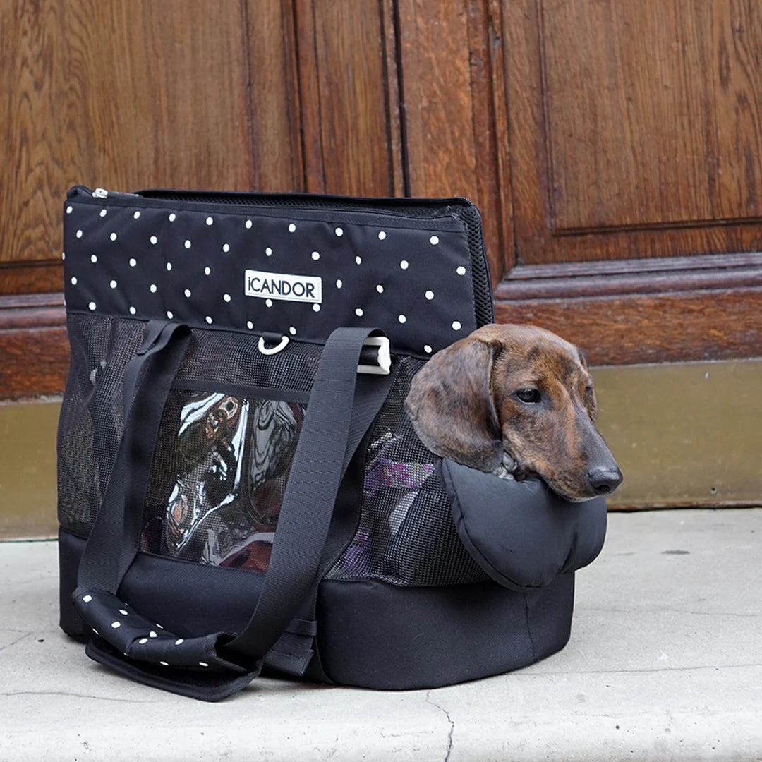 iCANDOR Brisbane Bag_Capri Black