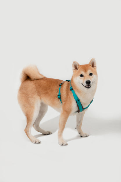 Bobo Series X-Style Dog Harness - Aden Green