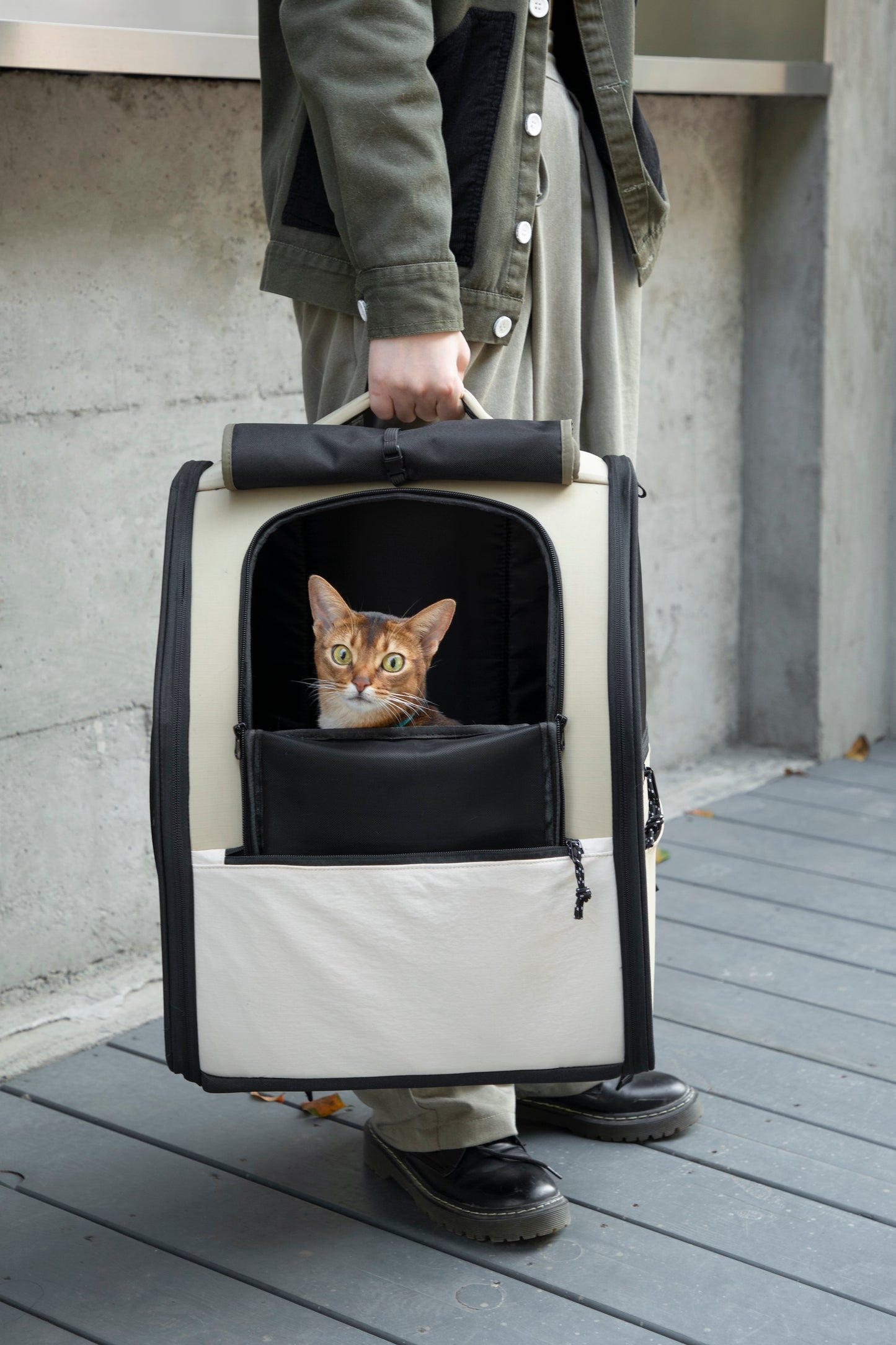 First Class Cat Backpack - Chestnut