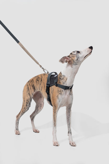 Valley Series Dog Harness - Grey