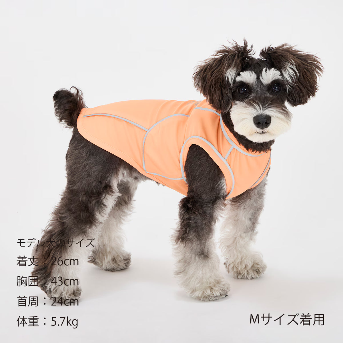 MANDARINE BROTHERS Cooling Fabric Reflective Dog T-Shirt