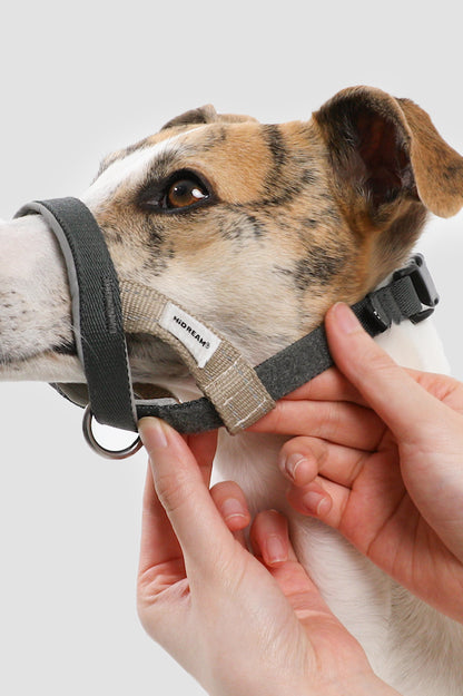 HiDream Head Control Halter | Multi-Function Training Dog Muzzle