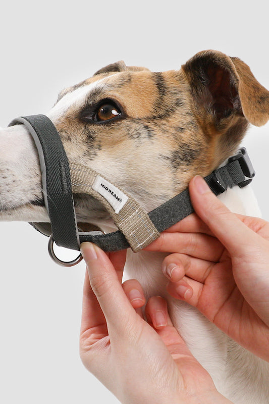 HiDream Head Control Halter | Multi-Function Training Dog Muzzle