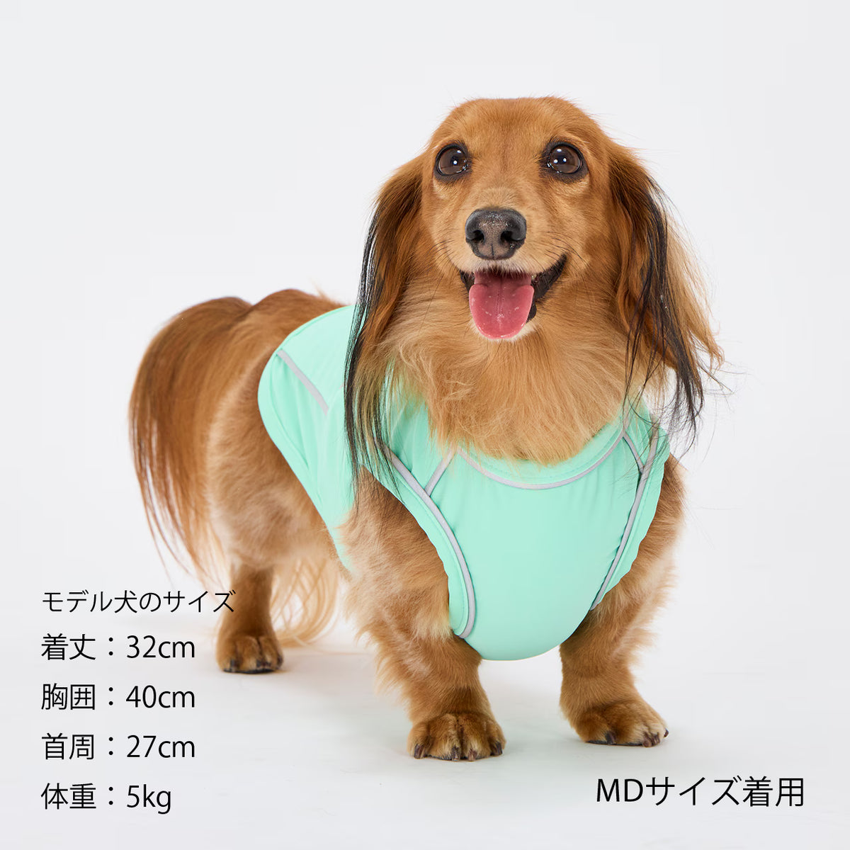MANDARINE BROTHERS Cooling Fabric Reflective Dog T-Shirt