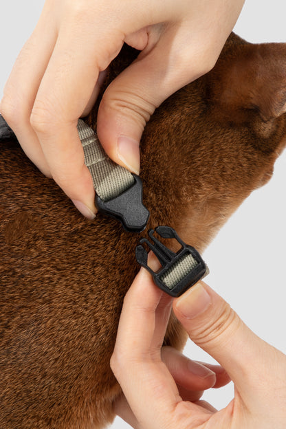 Valley Series H-Shaped Cat Harness Leash Set