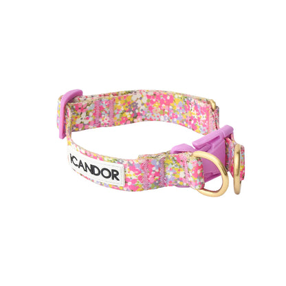 iCANDOR Gentle Collar Dual