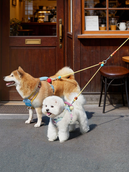 TUFFHOUND Small Dog Dual Coupler