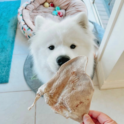 FREEZY PAWS FREEZE DRIED PIG EAR JUMBO SIZE 3PK