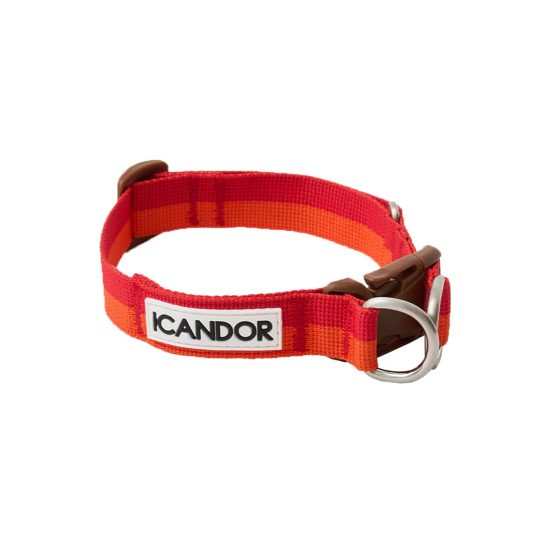 iCANDOR Gentle Collar Dual