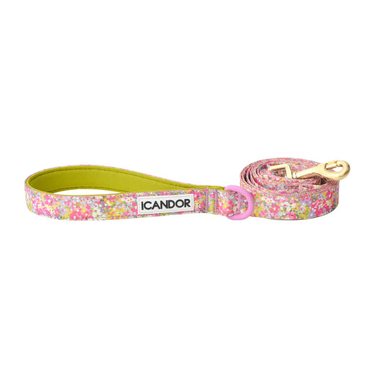 iCANDOR Gentle Leash 1.6m