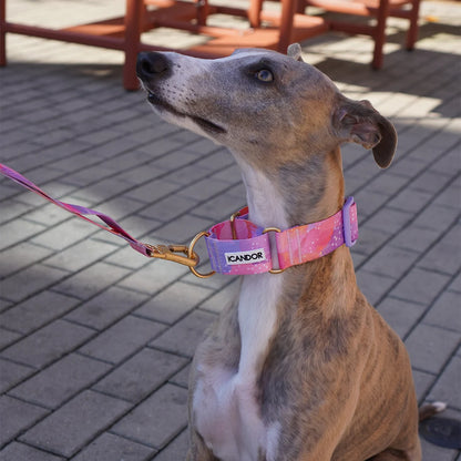 iCANDOR Smooth Martingale Collar 38mm