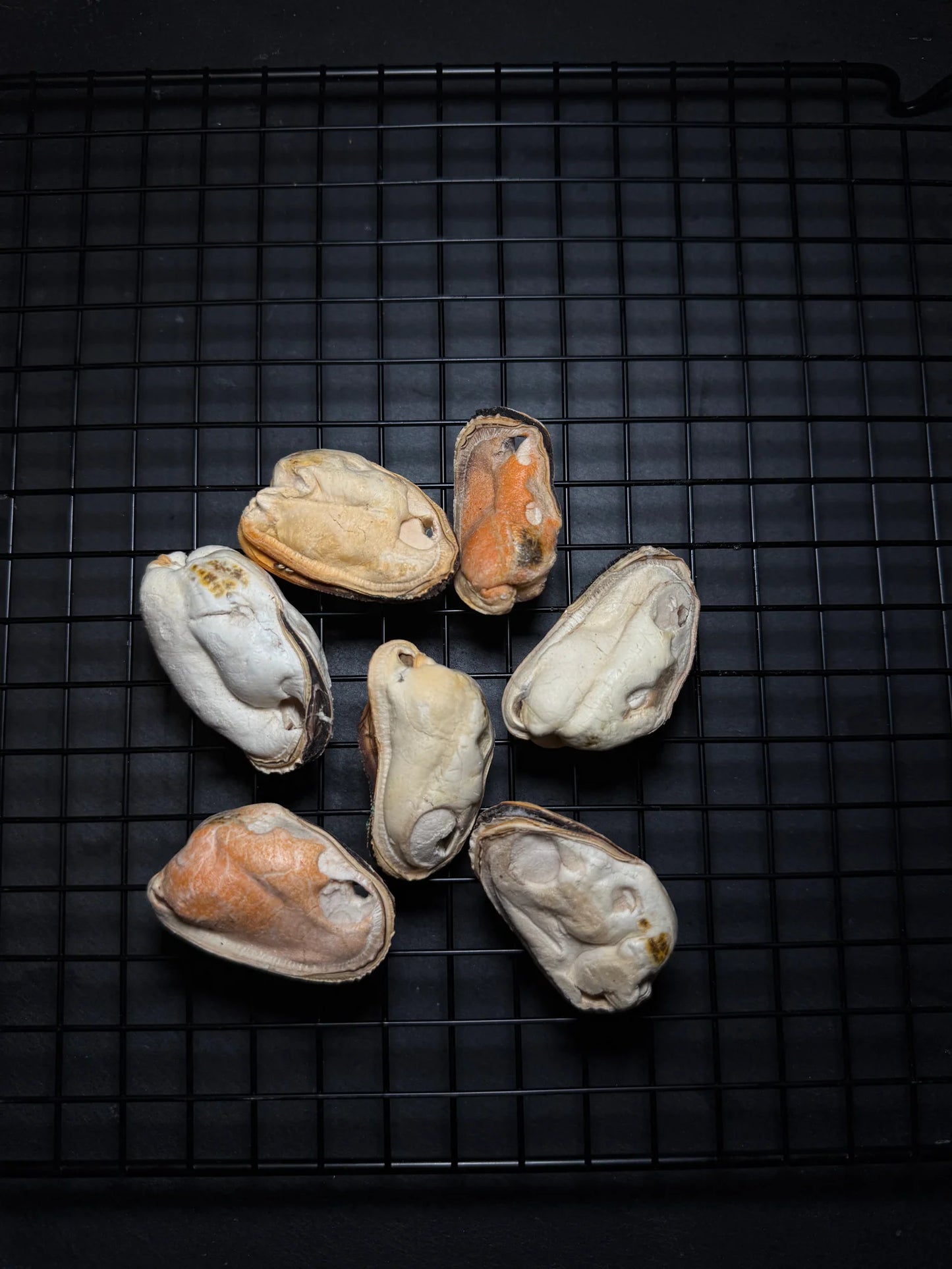 MAYBO FREEZE DRIED GREEN LIP MUSSEL 50g凍乾青口貝