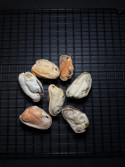 MAYBO FREEZE DRIED GREEN LIP MUSSEL 50g凍乾青口貝