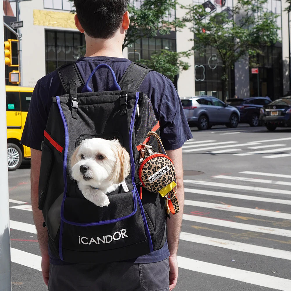 iCANDOR JIGE Bag_Dynamic Black