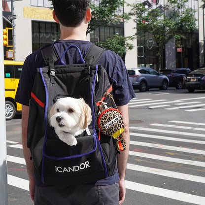 iCANDOR JIGE Bag_Dynamic Black