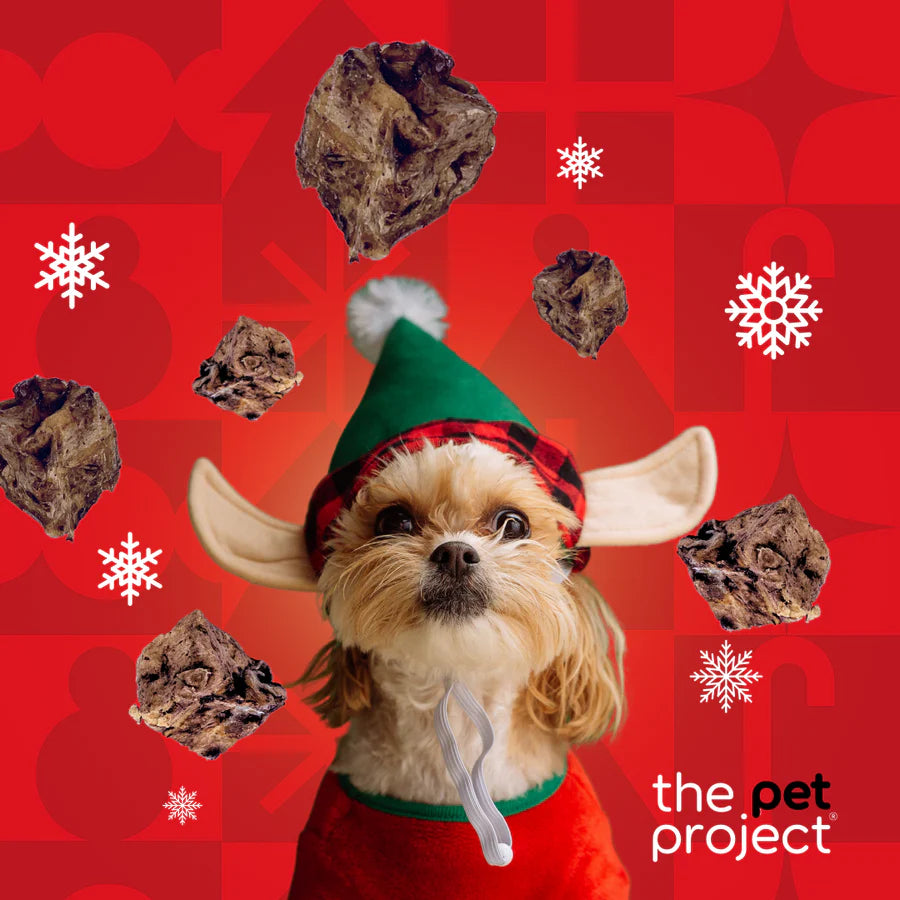 THE PET PROJECT CHRISTMAS VENISON BITES DOG TREATS 80G