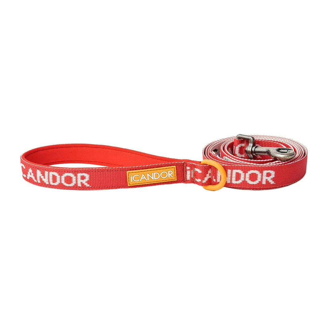 iCANDOR Gentle Leash 1.6m 20mm