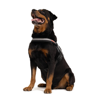 Ezydog Convert Harness - Black