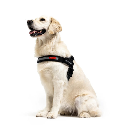 Ezydog Express Harness - Black
