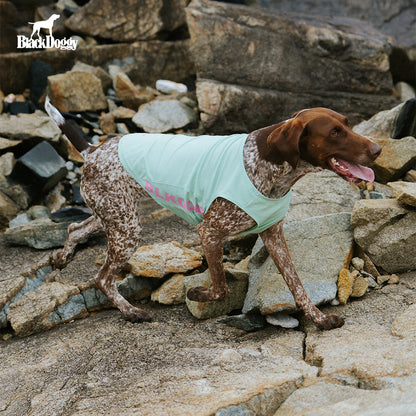 BlackDoggy Cooling Tank I – Cooling Vest