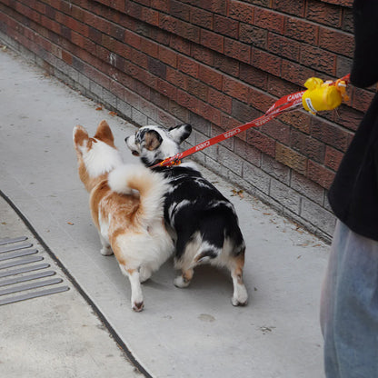 iCANDOR Gentle Leash Dual 1.1-1.5m- iCANDOR Signature