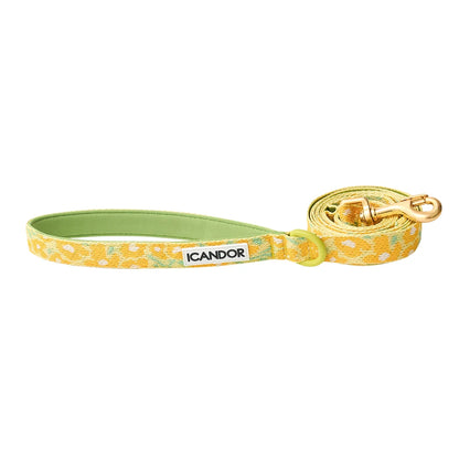 iCANDOR Gentle Leash 1.6m 20mm