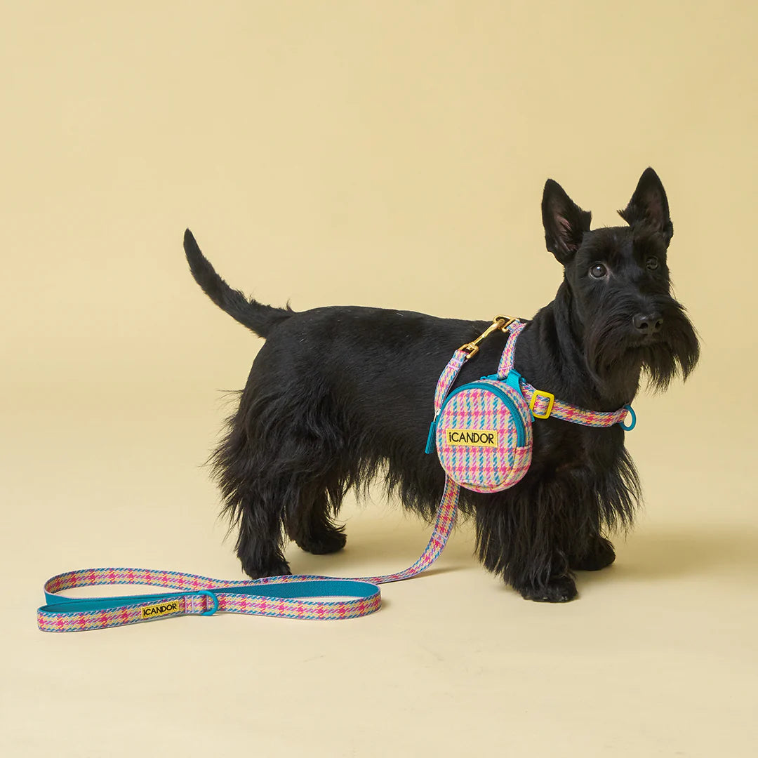 iCANDOR Gentle Leash 1.6m