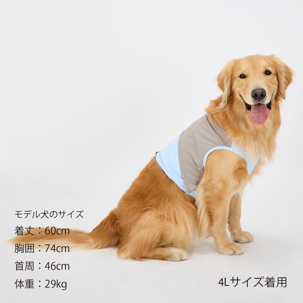 MANDARINE BROTHERS COOLING VEST