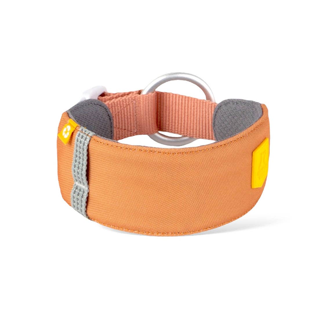 Alpha 360 Dog Collar Recycled (RPET)