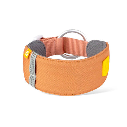 Alpha 360 Dog Collar Recycled (RPET)