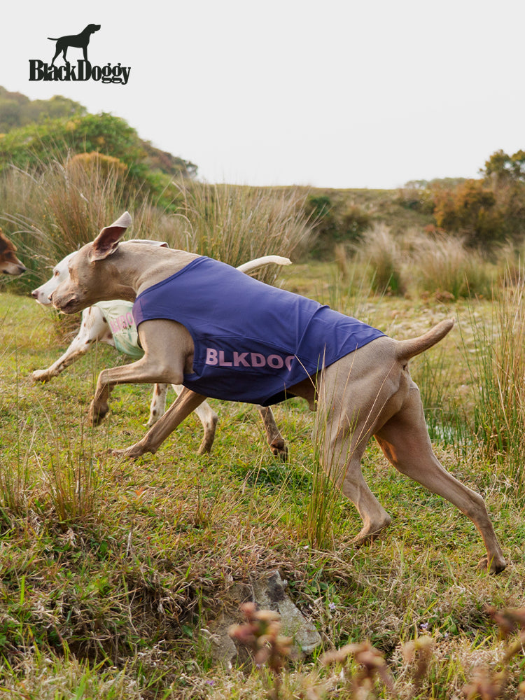 BlackDoggy Cooling Tank I – Cooling Vest