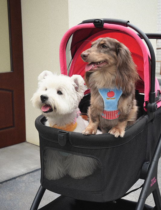Plush Small Dog Harness - Blue