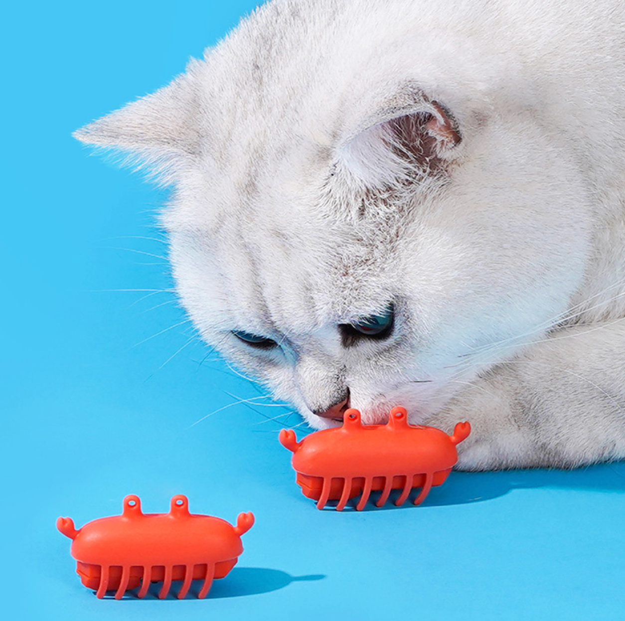 Zeze Little Red Crab Interactive Cat Toy