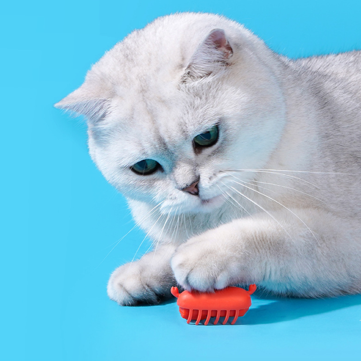 Zeze Little Red Crab Interactive Cat Toy