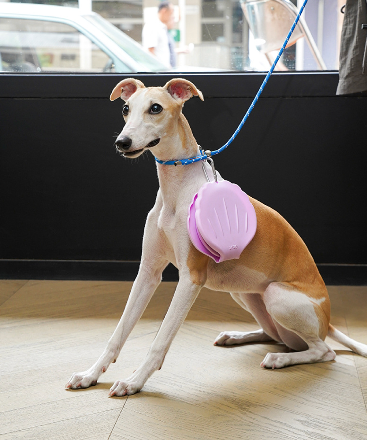 Zeze Shell Pet Folding Double Bowl