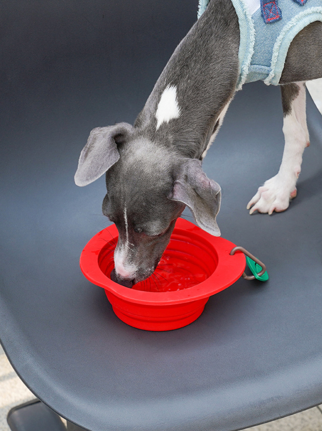 Zeze Apple Pet Folding Bowl