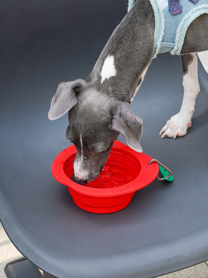 Zeze Apple Pet Folding Bowl