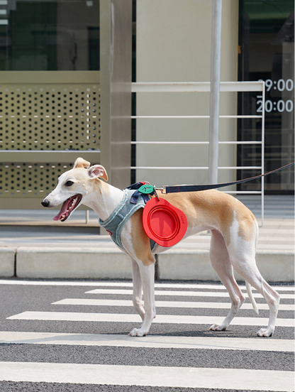 Zeze Apple Pet Folding Bowl