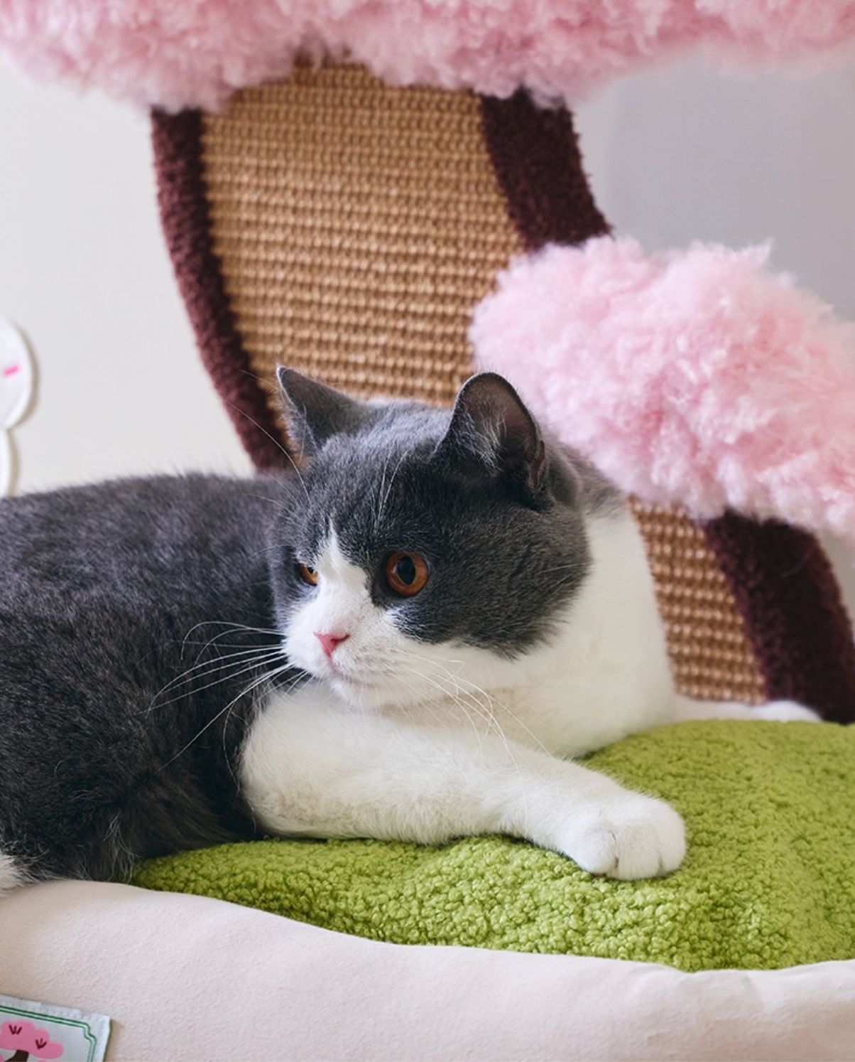 ZeZe Plush Cherry Blossom Cat Bed (L)