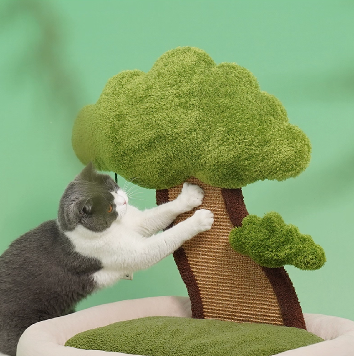 Zeze "Pine Under Tree" Cat Scratcher Bed (L)