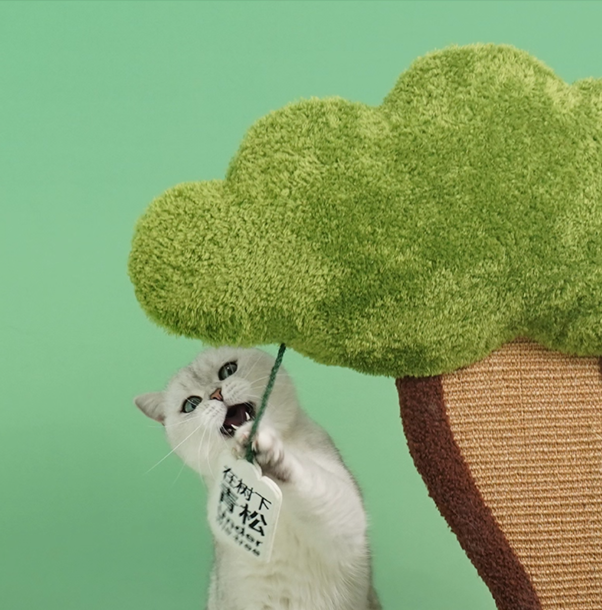 Zeze "Pine Under Tree" Cat Scratcher Bed (L)