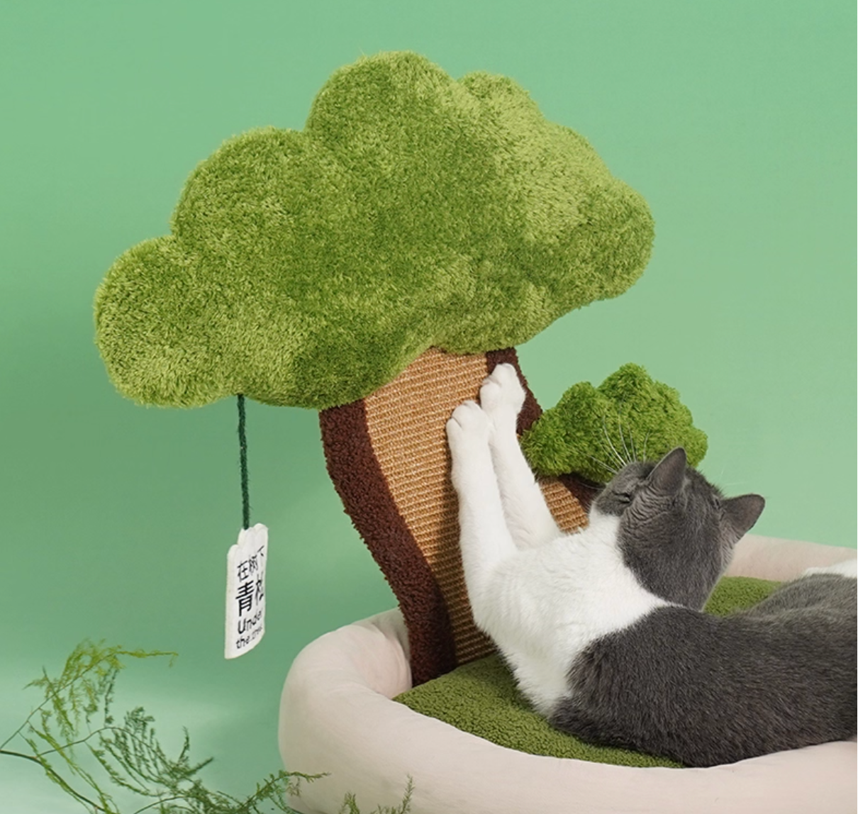 Zeze "Pine Under Tree" Cat Scratcher Bed (L)