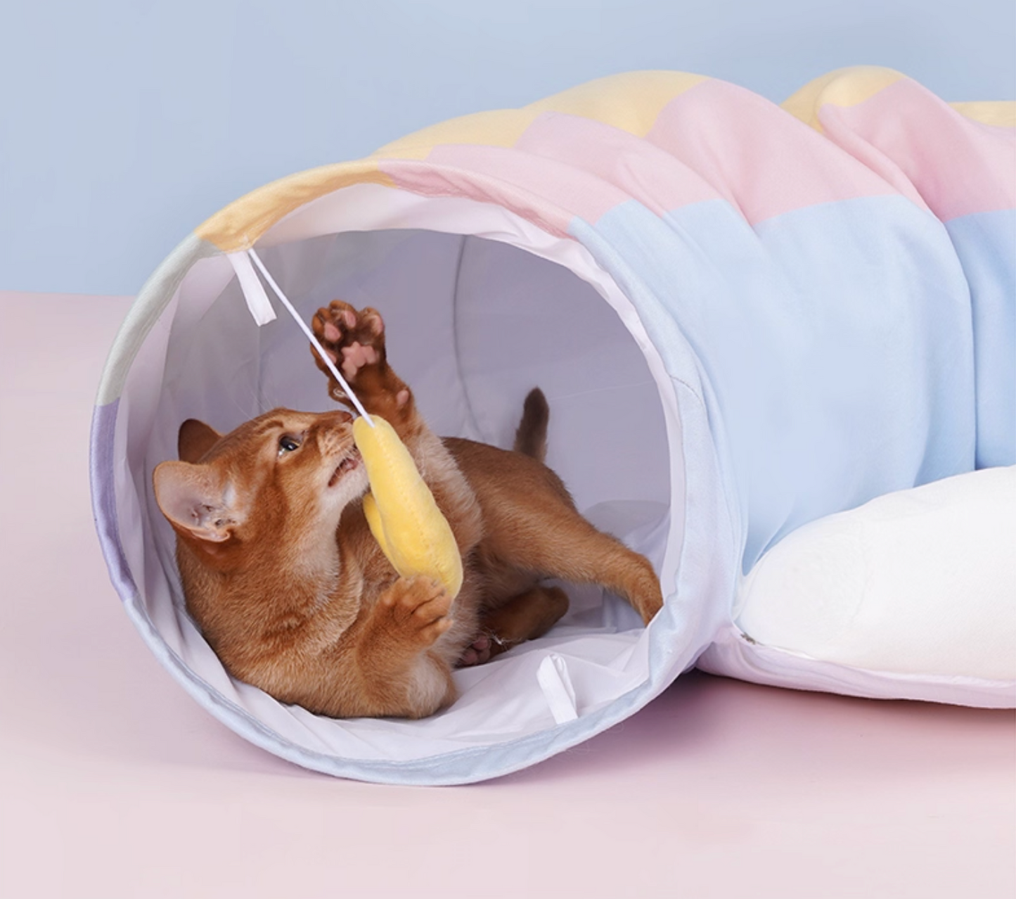 Zeze Rainbow Cat Tunnel with Bed