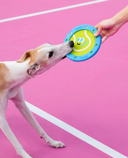 Zeze Rugby Ball Dog Flyer Toy
