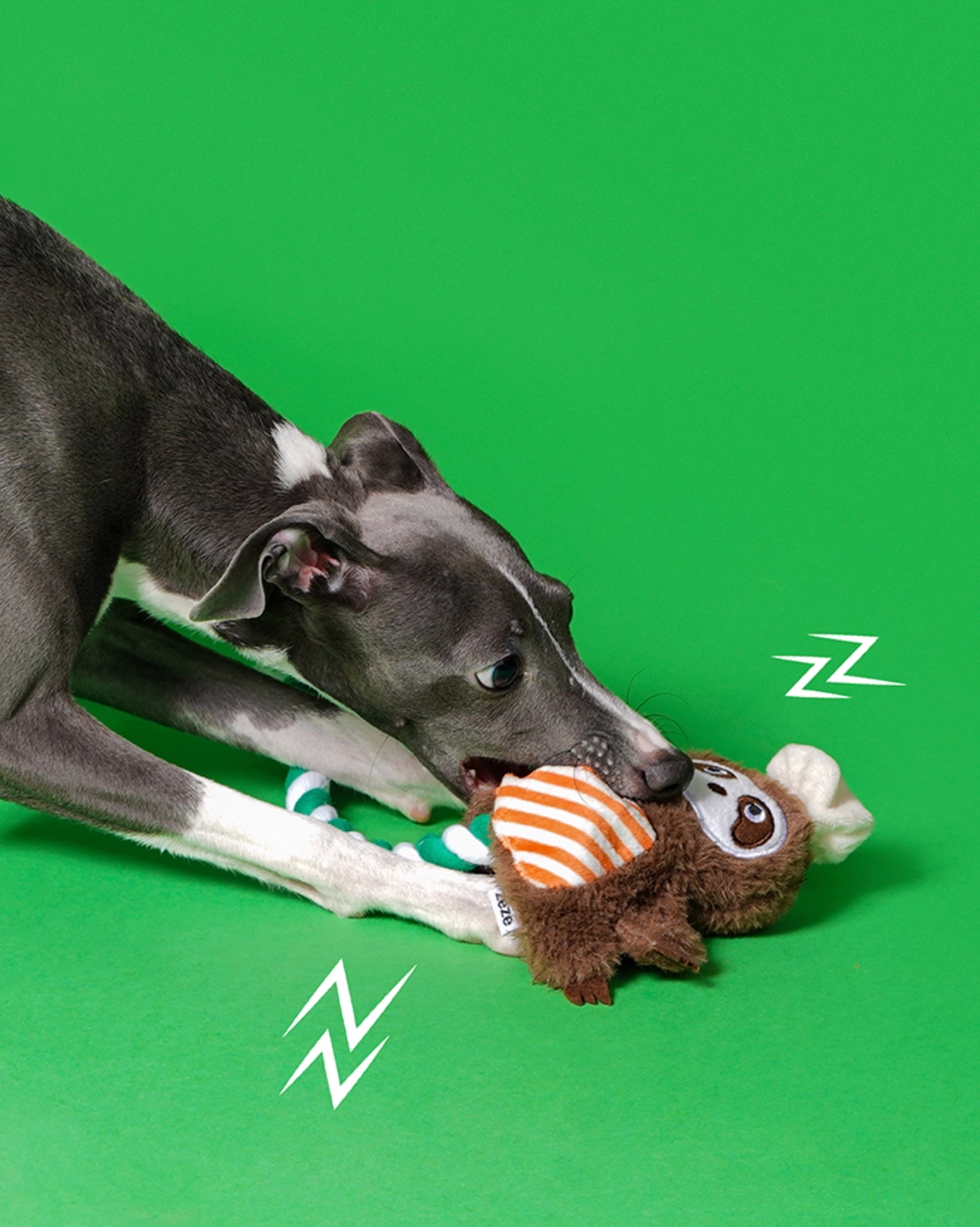 Zeze Shala Sloth Crinkle Rope Dog Toy