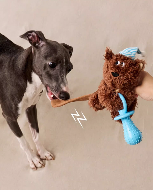 Zeze Baby Squirrel Chew Dog Toy