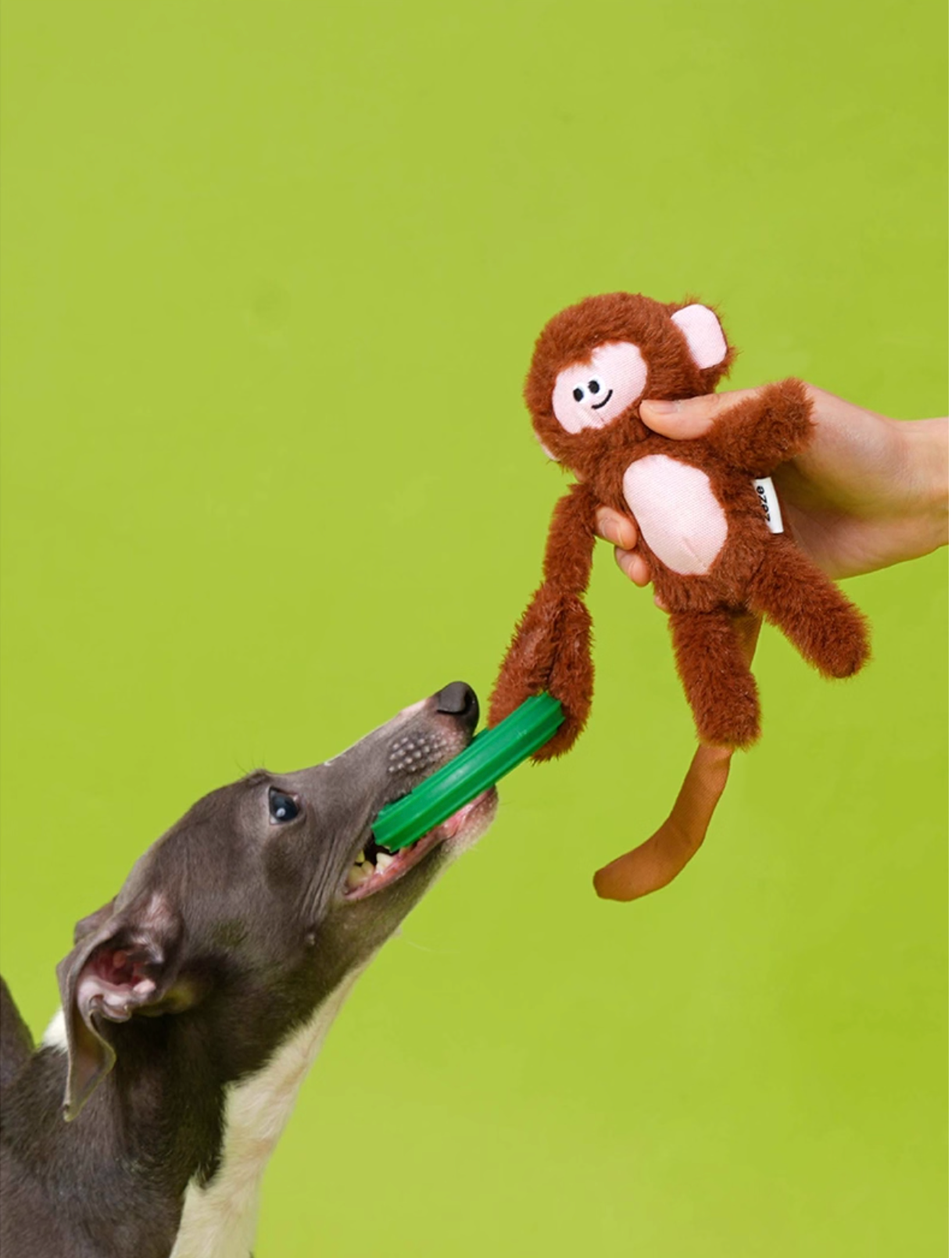 Zeze Smart Monkey Crinkle Chew Dog Toy