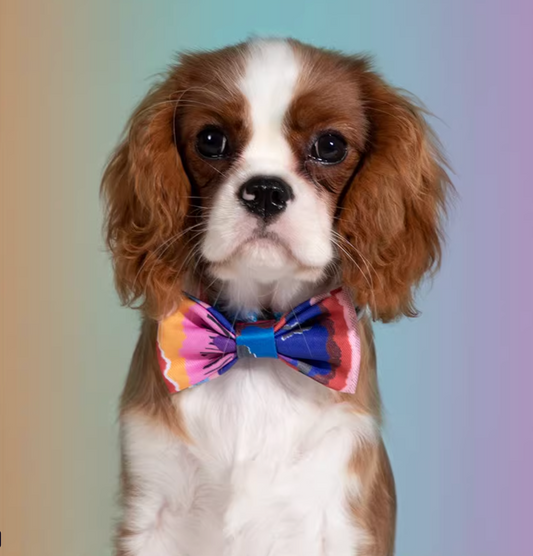 Pet Large Bow Tie - Mountain Pattern